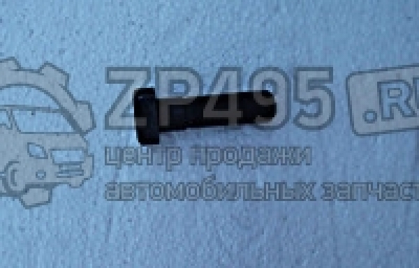 : 6501404 0014649     /   31105 . (, ,,,,, , NEXT, NEXT) tomsk.zp495.ru