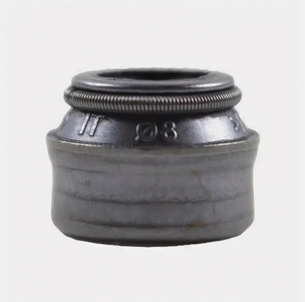 : A2741007026 0020886  -3302,  Next .-4216, EvoTech  (, ,,,,, , NEXT, NEXT) tomsk.zp495.ru