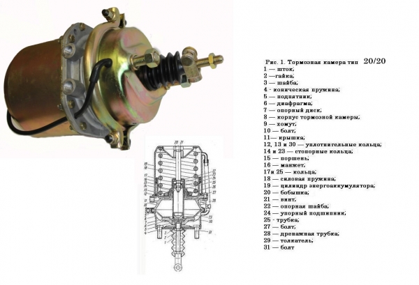 : 100351910010 0038216   20/20    tomsk.zp495.ru
