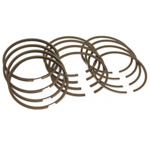 : KNG100010079 0069946   . - 101,0 mm   . -4216; EURO-IV 42164.1004023-, 4216-40-1004023- tomsk.zp495.ru